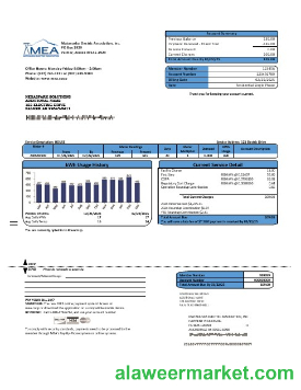 USA MEA Alaska electricity business utility bill template in Word and PDF formats